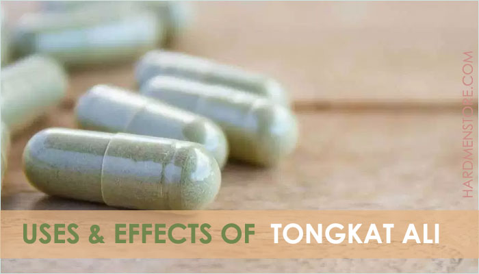 uses and effects of tongkat ali supplements