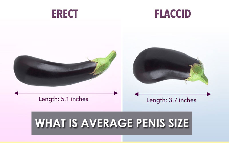 what is average penis size
